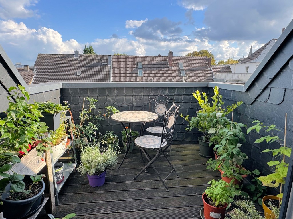 Gute Kapitalanlage: Attraktive DG-Wohnung mit Dachterrasse Nähe Volksgarten