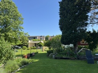 Garten (3)