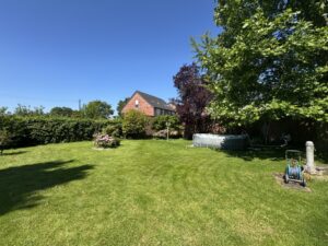 Garten (1)