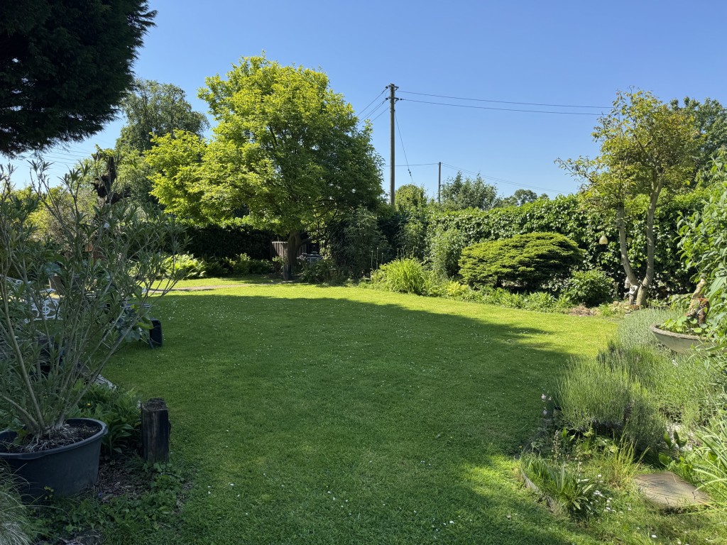 Garten (2)