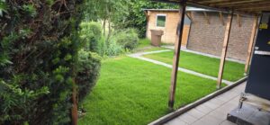 Garten (2)