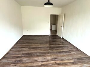 Wohnzimmer (2)